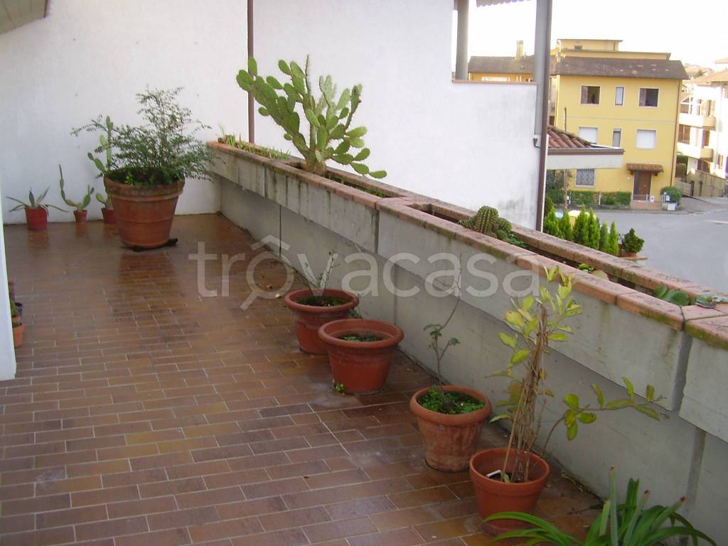 immagine annuncio 5 di 8
