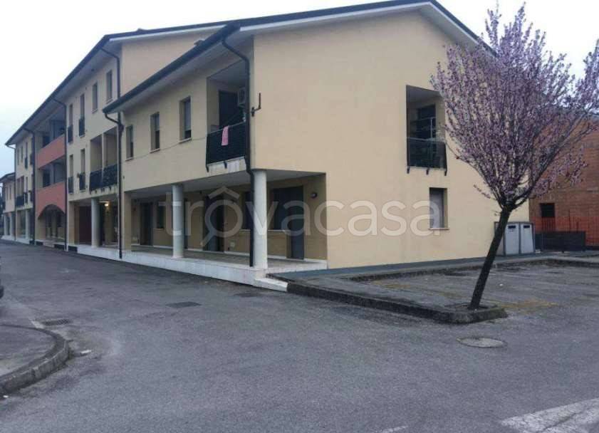 Appartamento in vendita a Piombino Dese via Fontanelle