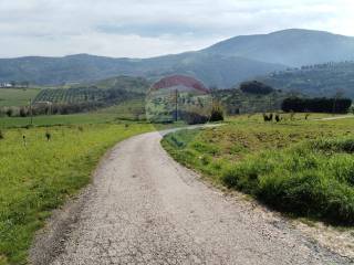 Terreno agricolo in vendita ad assisi san bartolo, snc