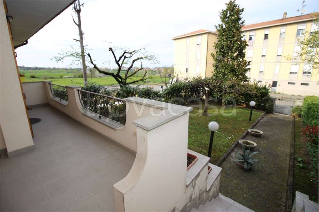 immagine annuncio 1 di 12