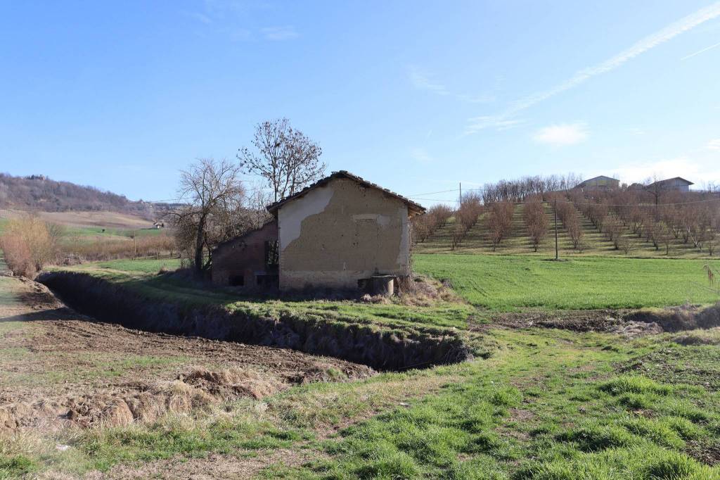 immagine annuncio 3 di 14