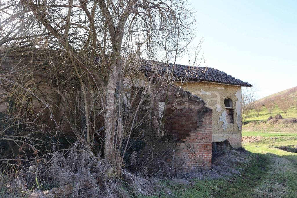 immagine annuncio 9 di 14