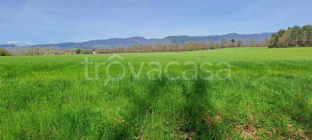 immagine annuncio 4 di 8