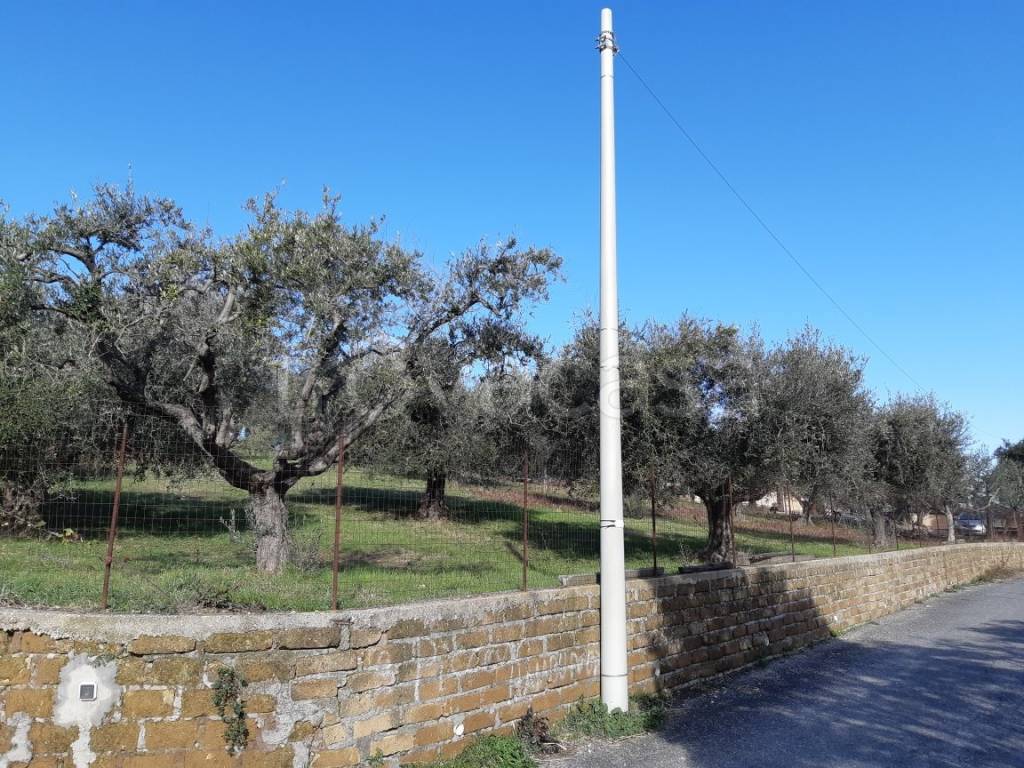 immagine annuncio 4 di 12
