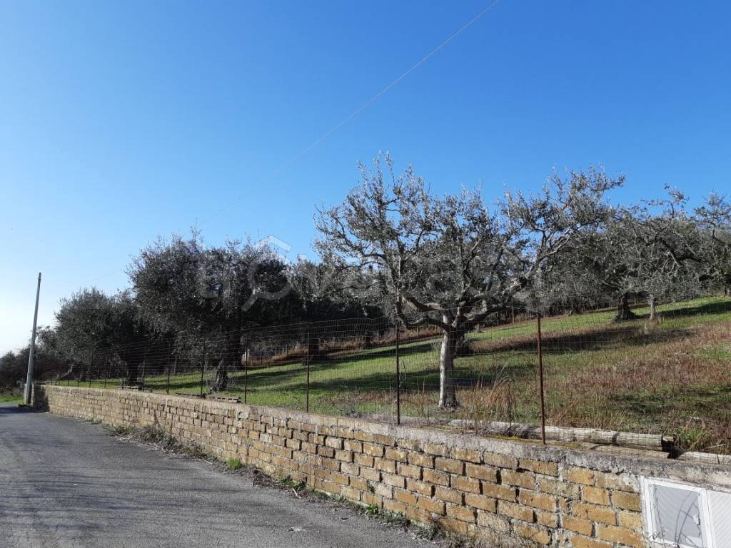 immagine annuncio 10 di 12