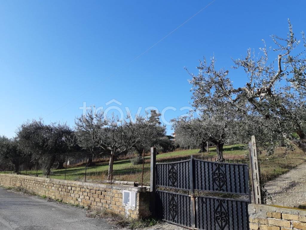 immagine annuncio 11 di 12