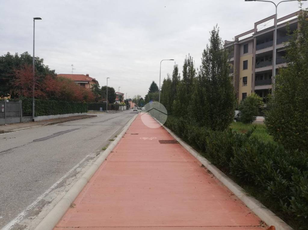 immagine annuncio 5 di 11