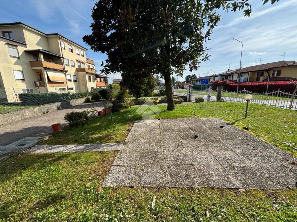 immagine annuncio 5 di 15