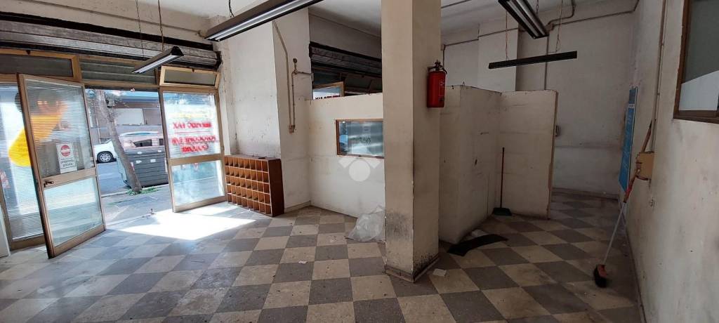 immagine annuncio 4 di 14