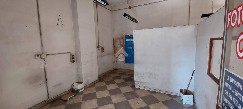 immagine annuncio 7 di 14