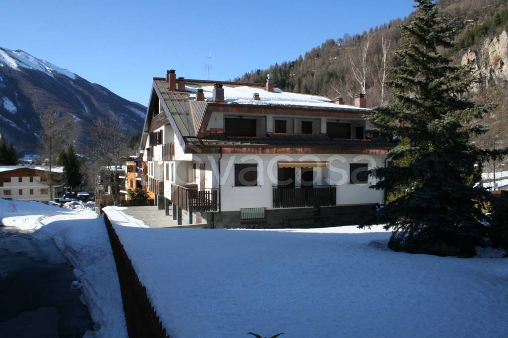immagine annuncio 5 di 12