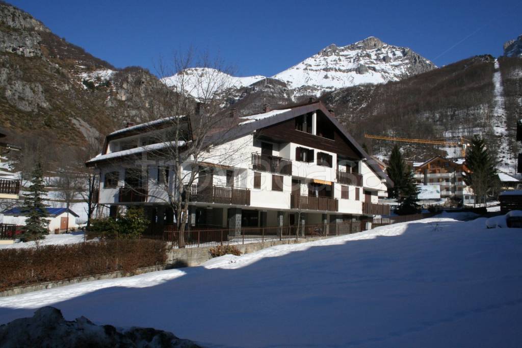 immagine annuncio 2 di 12