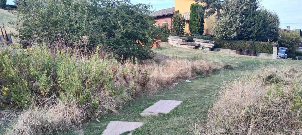 immagine annuncio 4 di 8