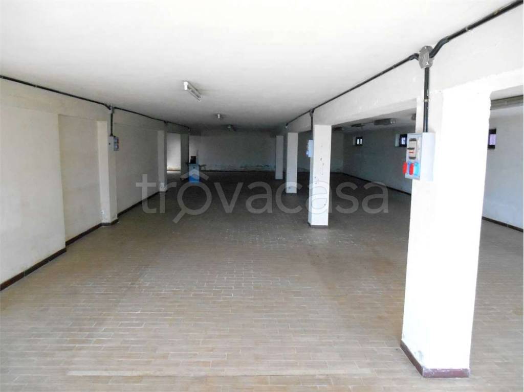 immagine annuncio 7 di 11