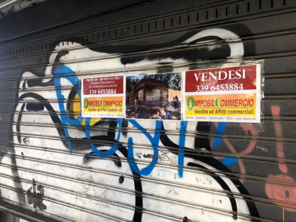 immagine annuncio 6 di 8