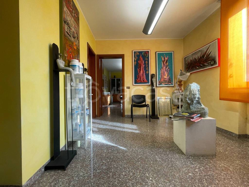 immagine annuncio 5 di 12