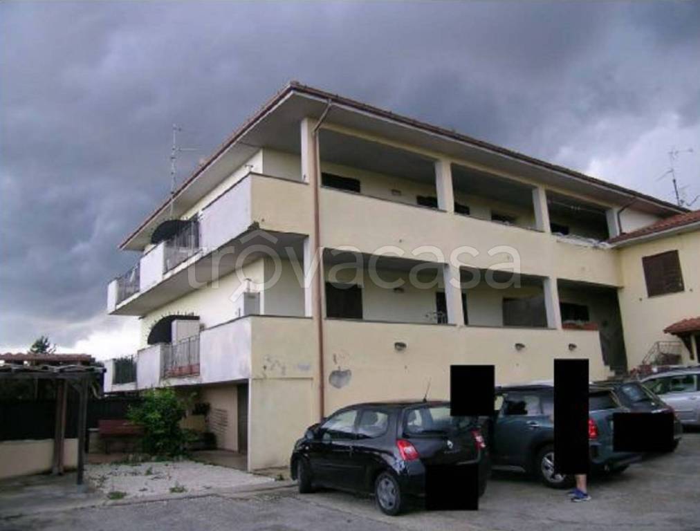 immagine annuncio 9 di 11