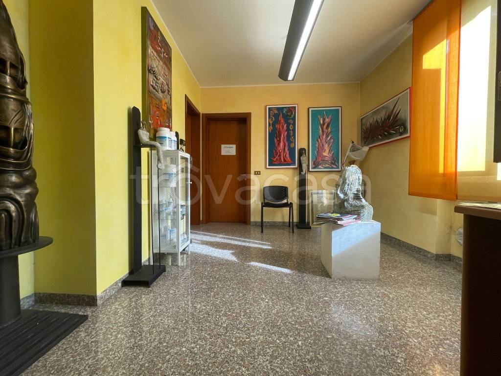 immagine annuncio 2 di 12