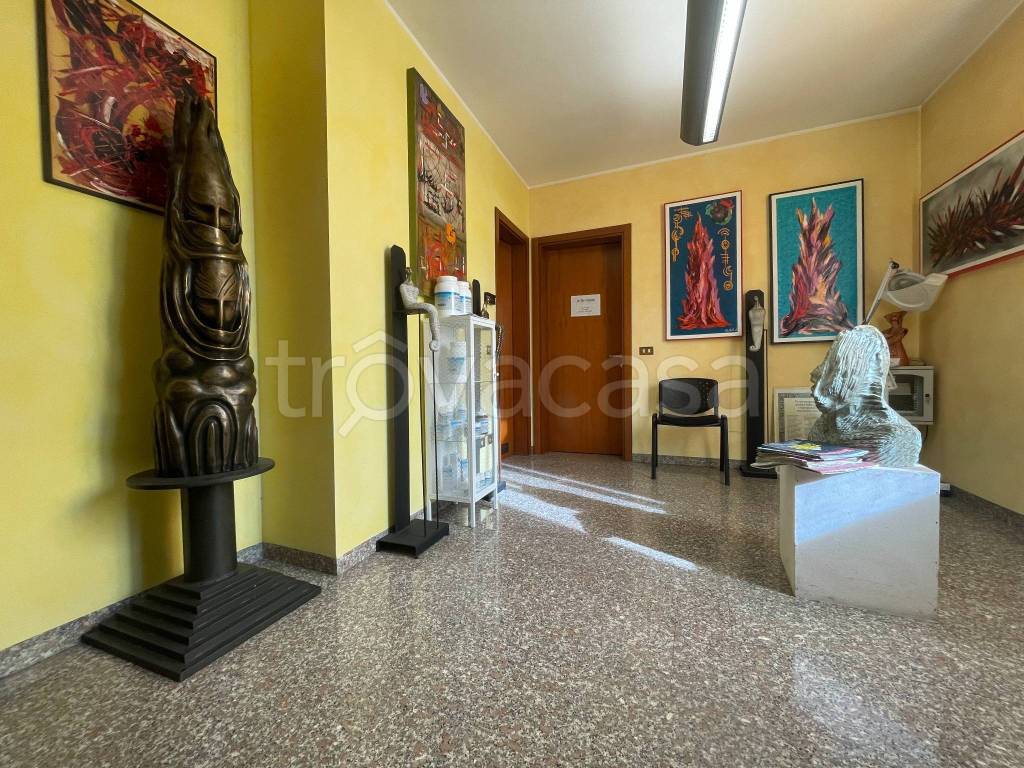 immagine annuncio 1 di 12