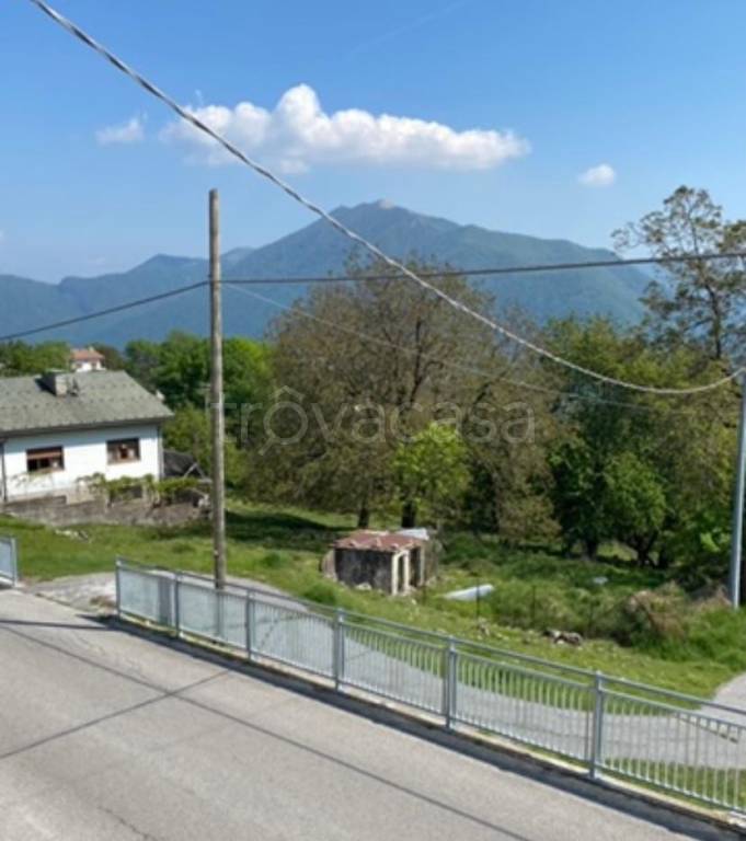 immagine annuncio 5 di 8