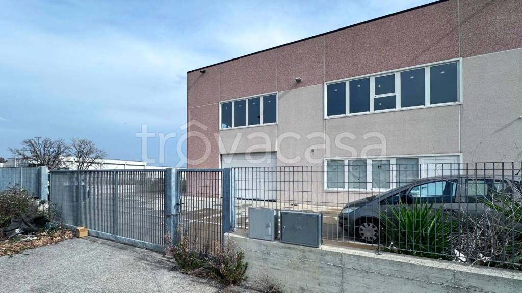 immagine annuncio 12 di 15