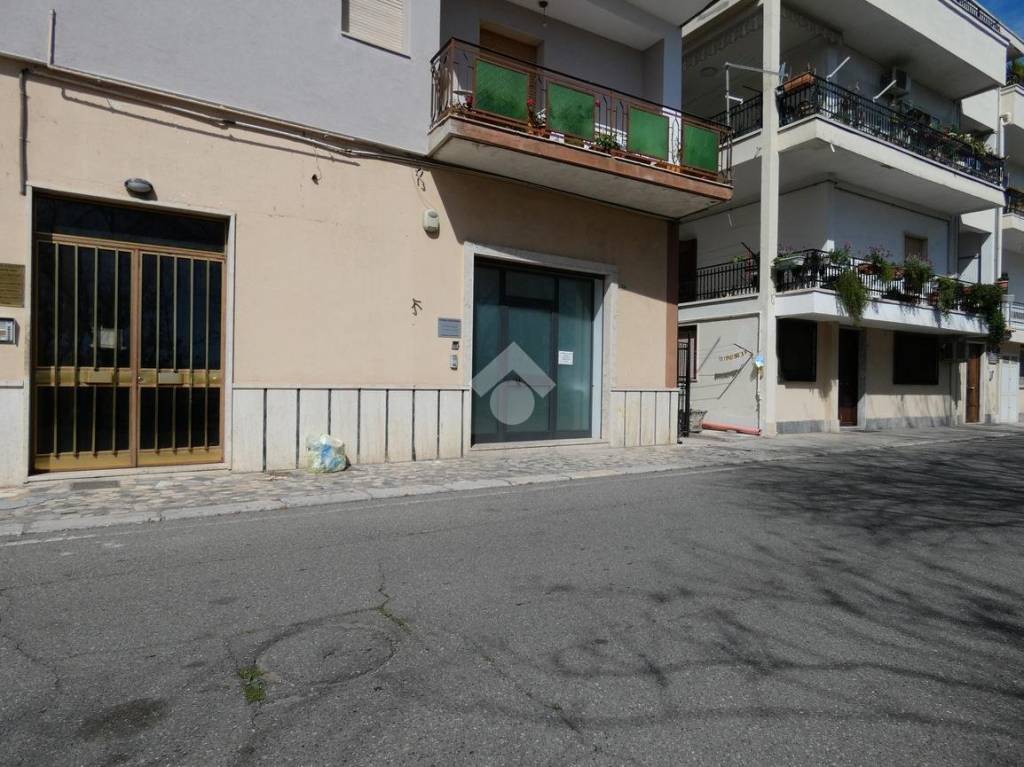 immagine annuncio 1 di 7