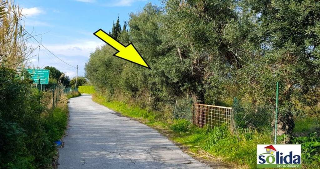 immagine annuncio 5 di 7