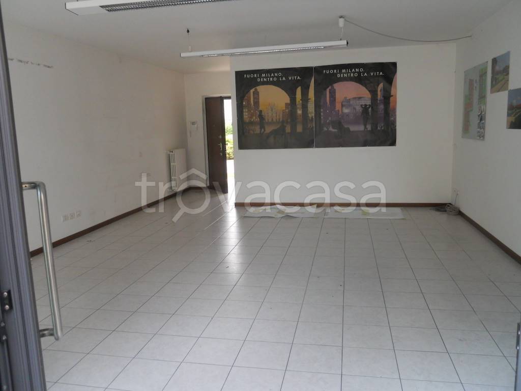 immagine annuncio 4 di 6