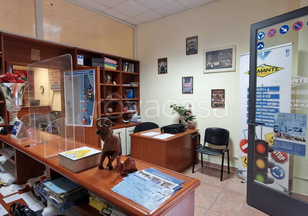 immagine annuncio 7 di 12