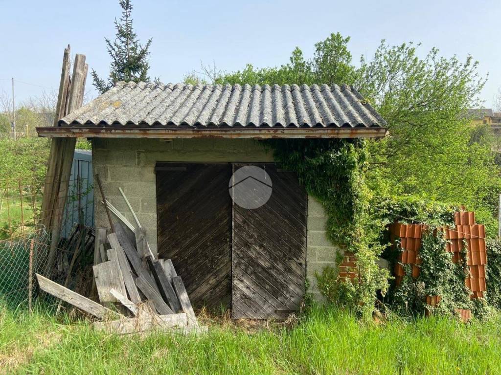 immagine annuncio 14 di 15