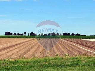 Terreno agricolo in affitto a fano località falcineto, 90