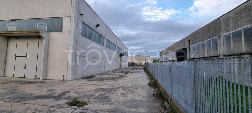 immagine annuncio 11 di 13