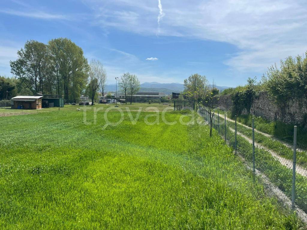 immagine annuncio 7 di 12