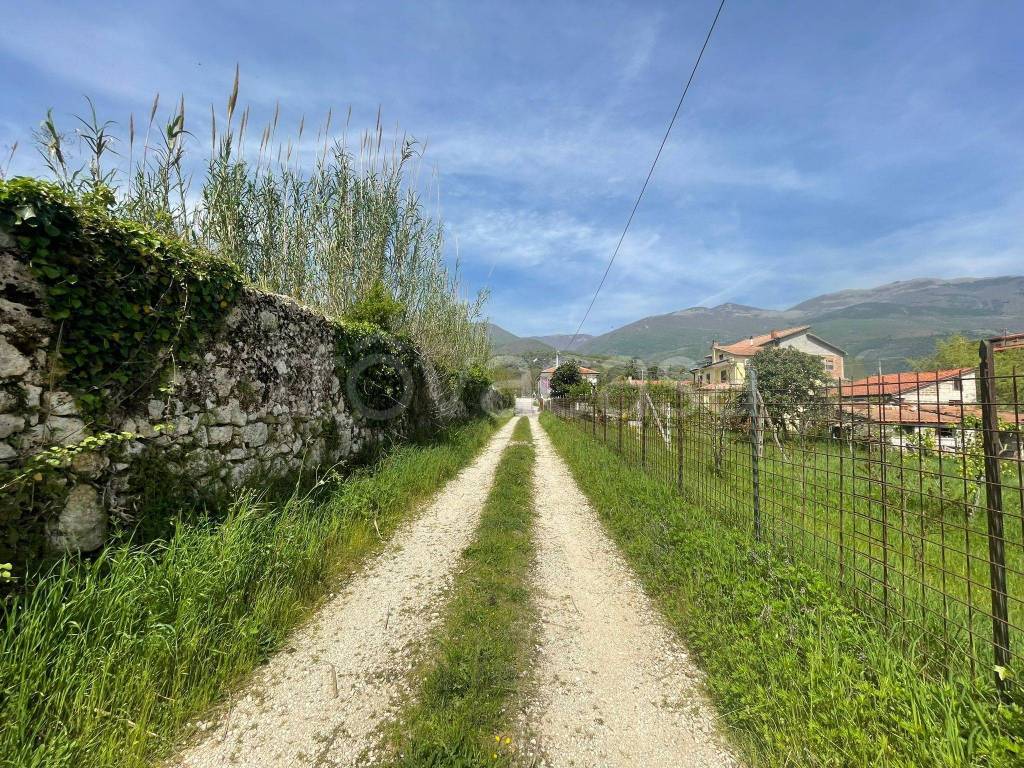 immagine annuncio 11 di 12