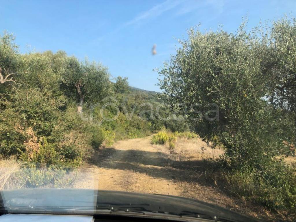 immagine annuncio 5 di 12