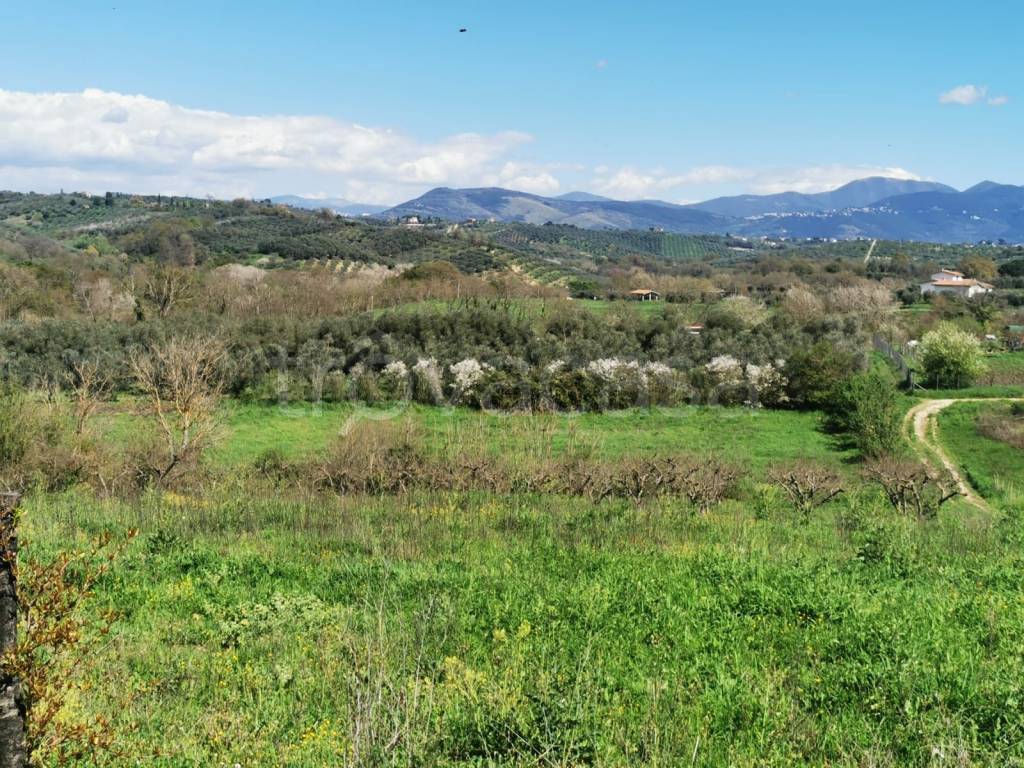 immagine annuncio 4 di 7