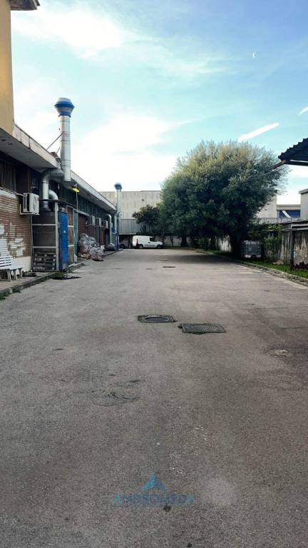immagine annuncio 10 di 12