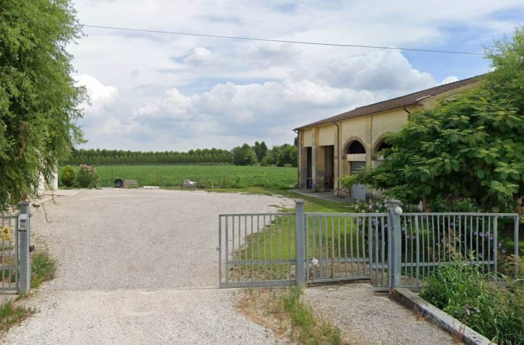 immagine annuncio 2 di 3