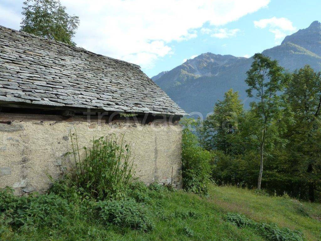 immagine annuncio 4 di 6