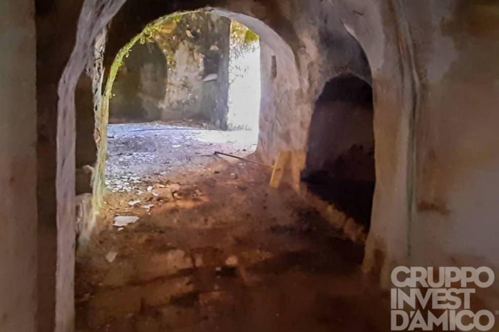immagine annuncio 2 di 14