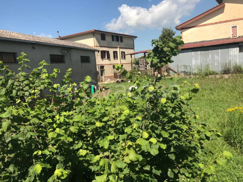 immagine annuncio 7 di 8