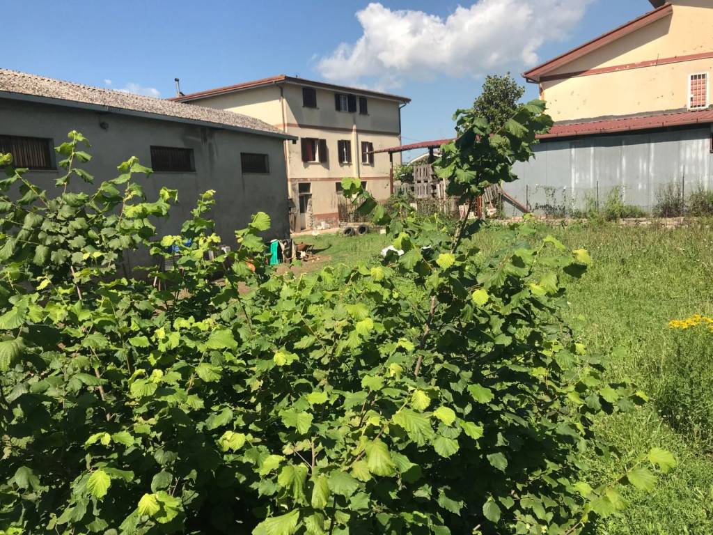 immagine annuncio 5 di 8