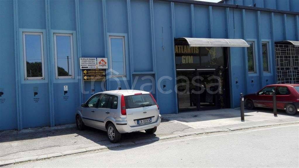 immagine annuncio 4 di 7