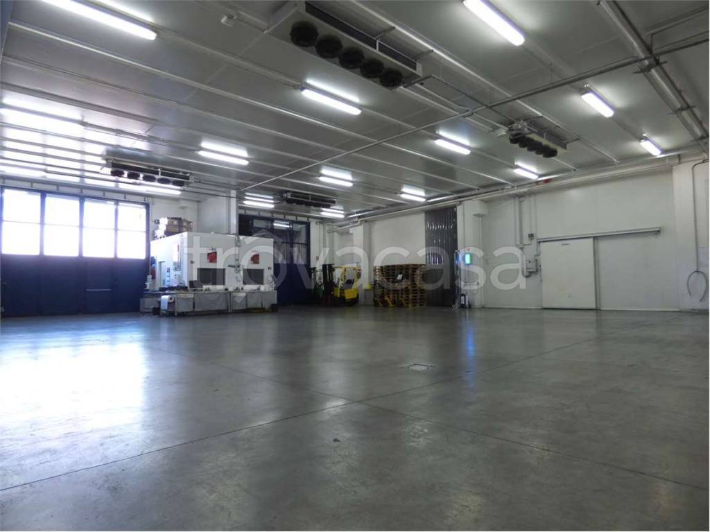 immagine annuncio 4 di 9