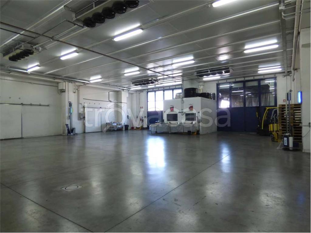 immagine annuncio 5 di 9