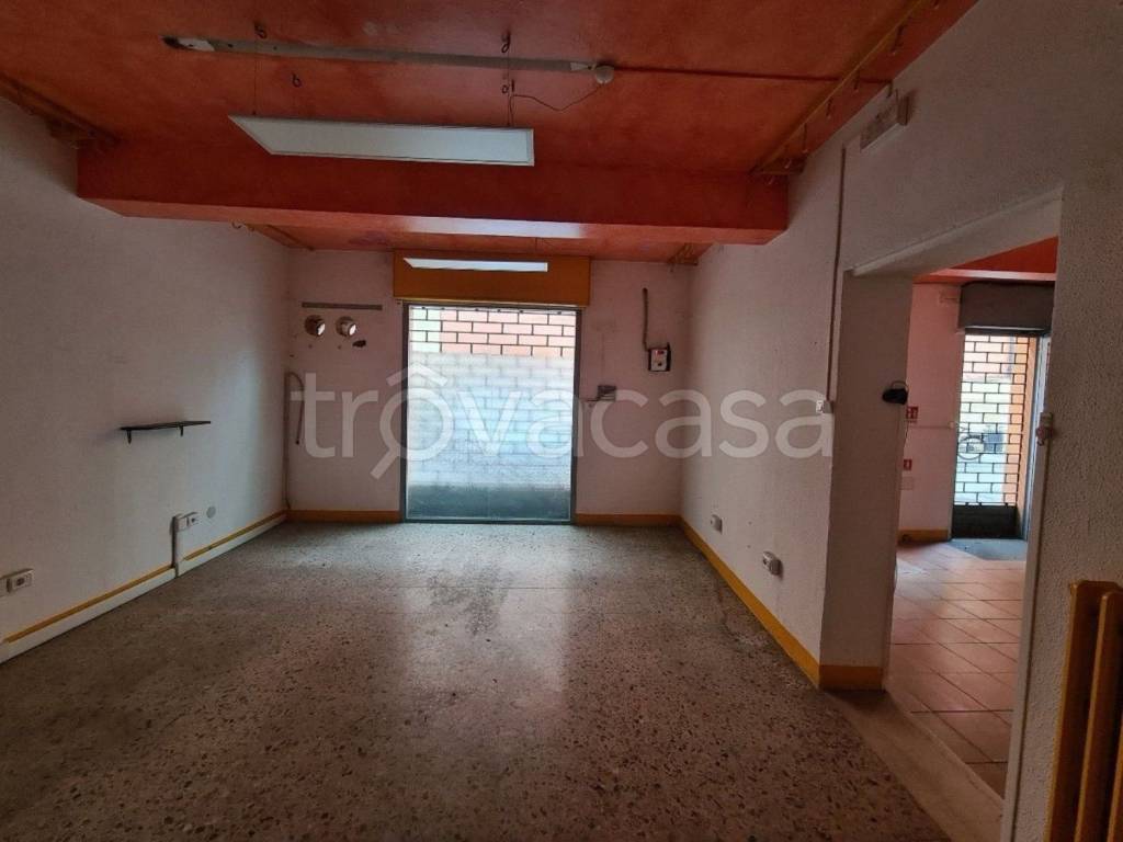 immagine annuncio 9 di 13