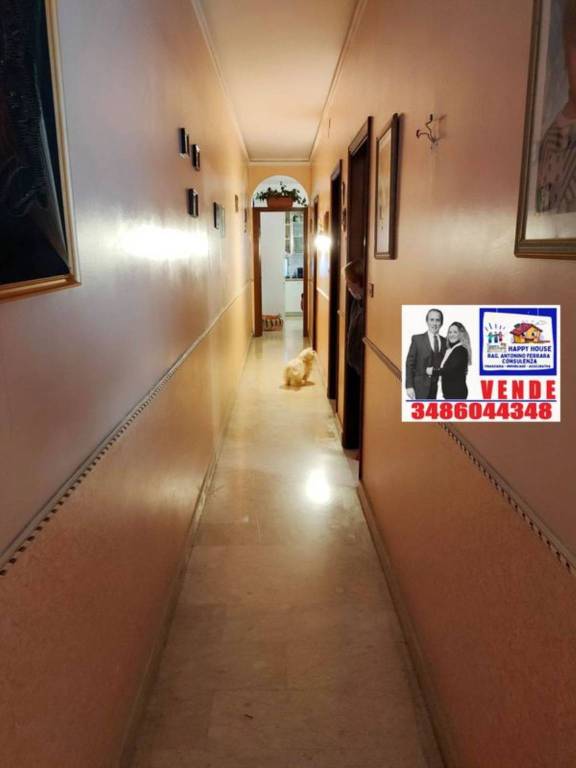 immagine annuncio 5 di 14