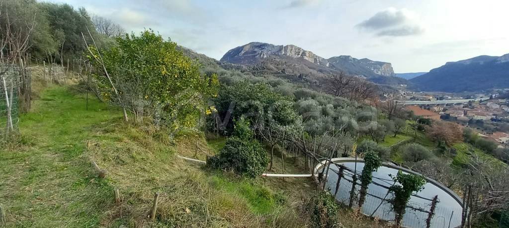 immagine annuncio 2 di 6