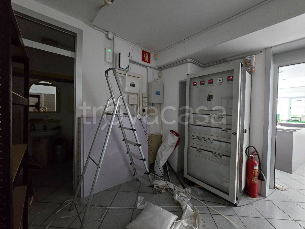 immagine annuncio 6 di 11
