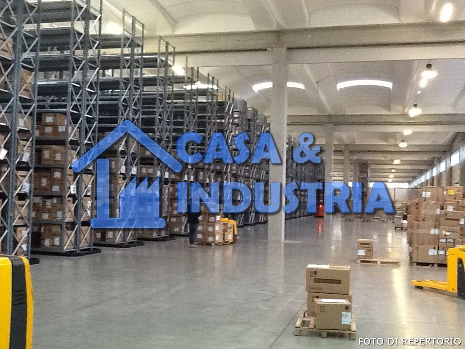 immagine annuncio 2 di 13